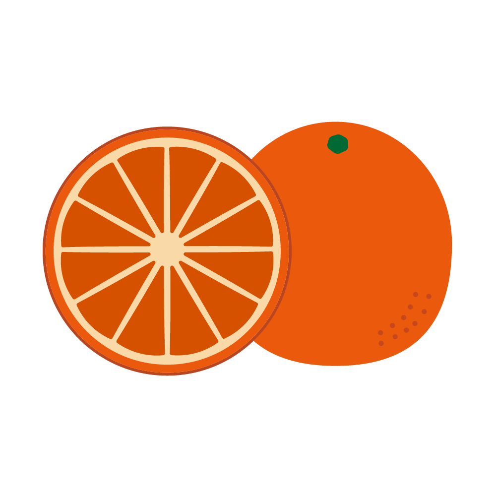 ブラッドオレンジのイラスト 無料のイラストなら いらすと ごー