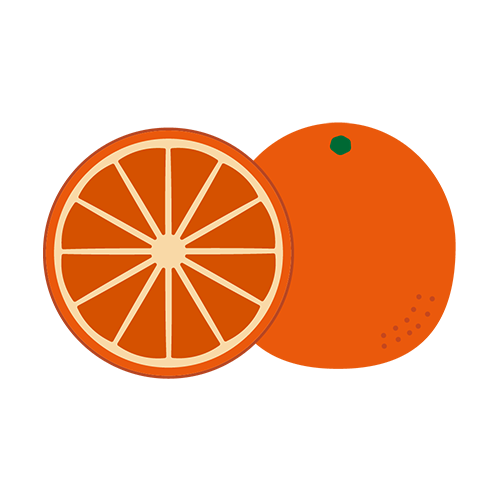 ブラッドオレンジのイラスト