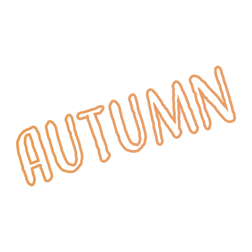 お店のPOP素材「Autumn」のイラスト