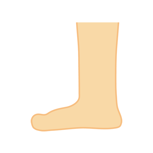 側面から見た足のイラスト
