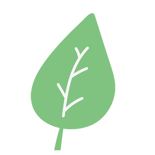 薄緑色の葉のイラスト