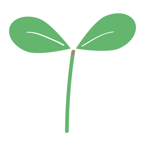 双葉のイラスト