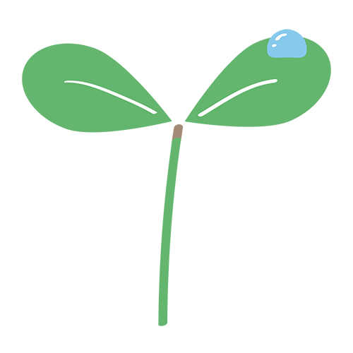 雫がのった双葉のイラスト