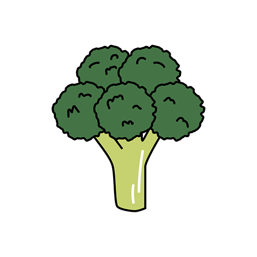 ブロッコリーのイラスト