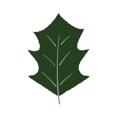 クリスマスツリー装飾葉のイラスト