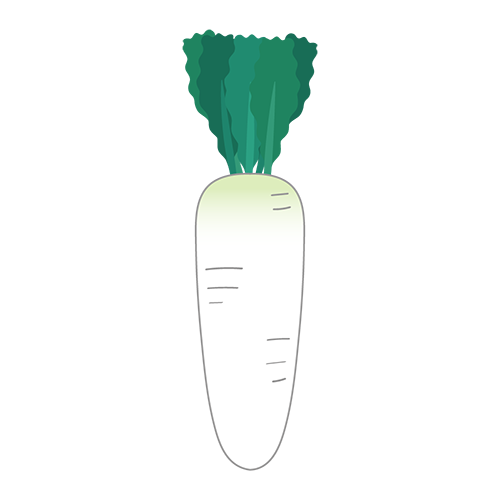 大根のイラスト