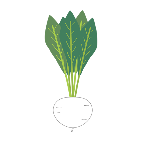 かぶのイラスト