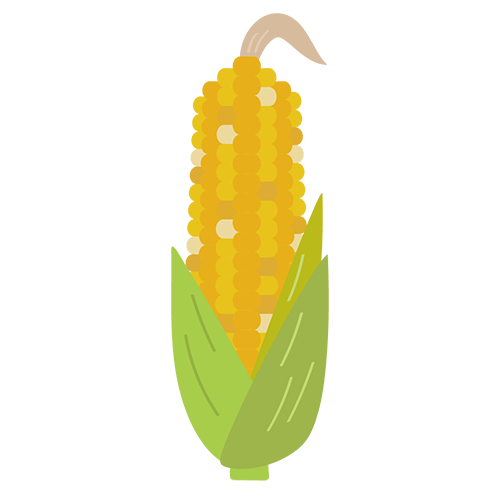 とうもろこしのイラスト