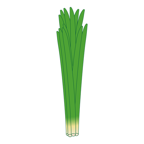 ニラのイラスト