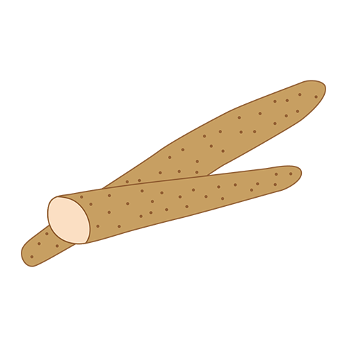 長芋のイラスト