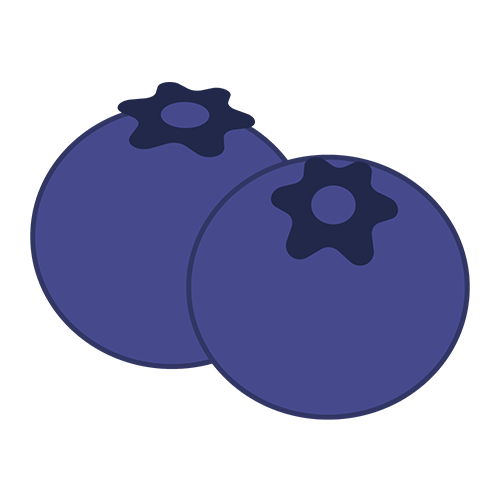 ブルーベリーのイラスト