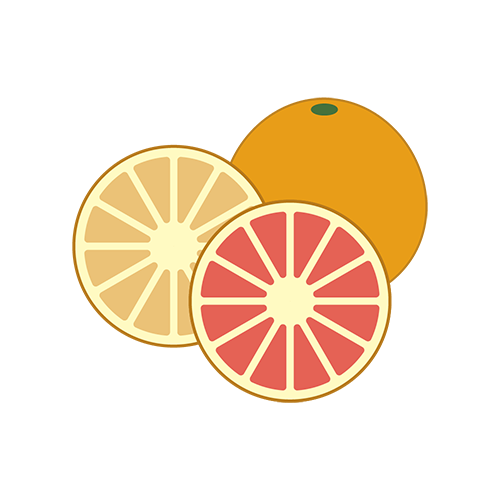 グレープフルーツのイラスト