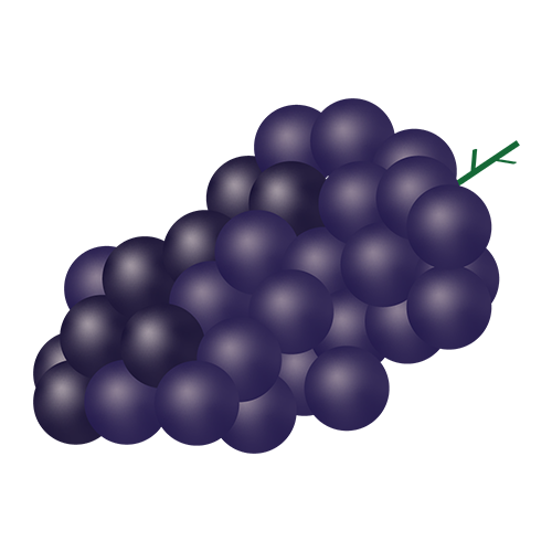 ブドウのイラスト