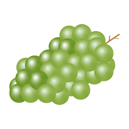 マスカットのイラスト