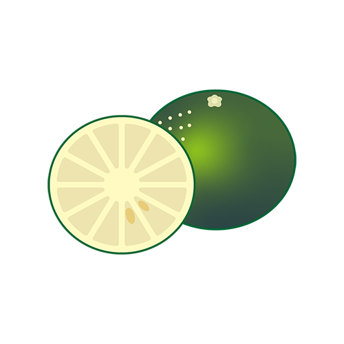 すだちのイラスト