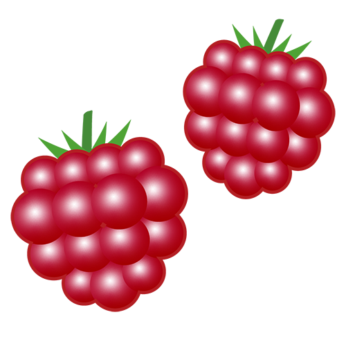 ラズベリーのイラスト