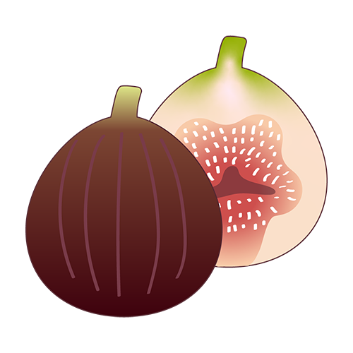 いちじくのイラスト