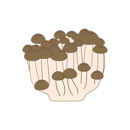 ぶなしめじのイラスト