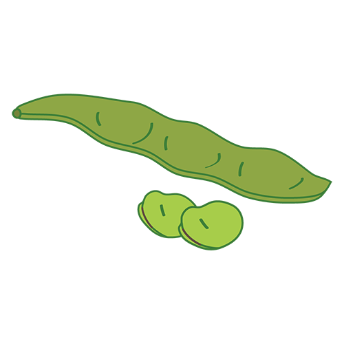 枝豆のイラスト